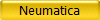 Neumatica